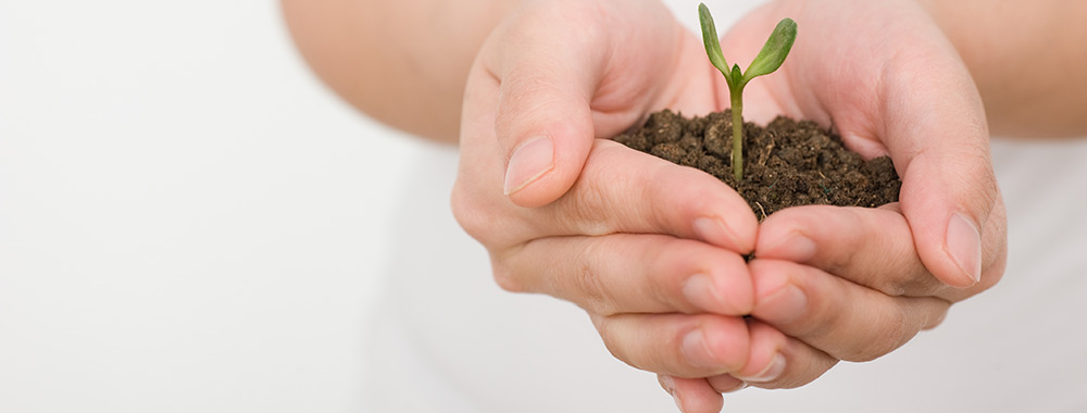 Therapy for children, adolescents, and adults woman holding plant in hand
